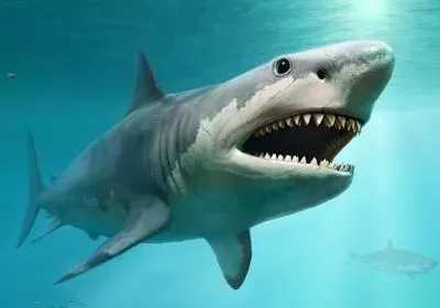 Megalodon from prehistoric times scene 3D illustration